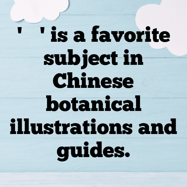 261+ Snowdrop Captions For Instagram In 2025 14 Snowdrop Captions Photo For Instagram-ZvSrRT