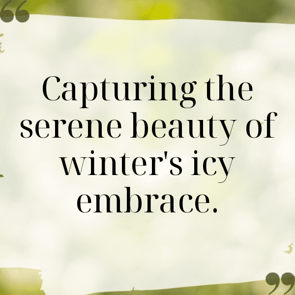 288+ Snowfall Captions for Instagram (Fresh & Trendy) 10 Snowfall Captions Image for Instagram-VwiDNi