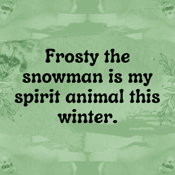 288+ Snowfall Captions for Instagram (Fresh & Trendy) 8 Snowfall Captions Photo for Instagram-TlqbMt