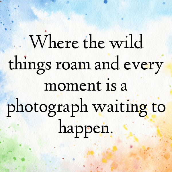 Somalia Captions Image For Instagram-sYoSKN