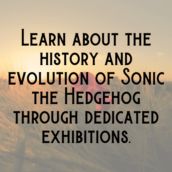 Sonic the Hedgehog Captions Image for Instagram-FWcz7C