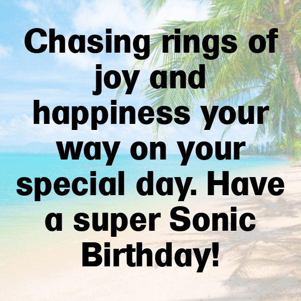 Sonic the Hedgehog Captions Image for Instagram-u0f9gu