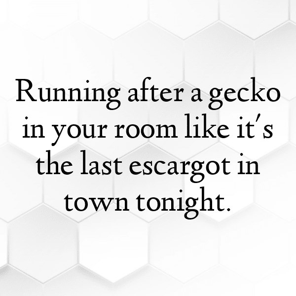 310+ South Africa Captions For Instagram In 2025 10 South Africa Captions Image For Instagram-qE51gm