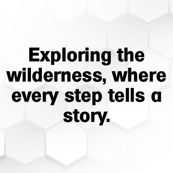 310+ South Africa Captions For Instagram In 2025 8 South Africa Captions Photo For Instagram-HnNgLd