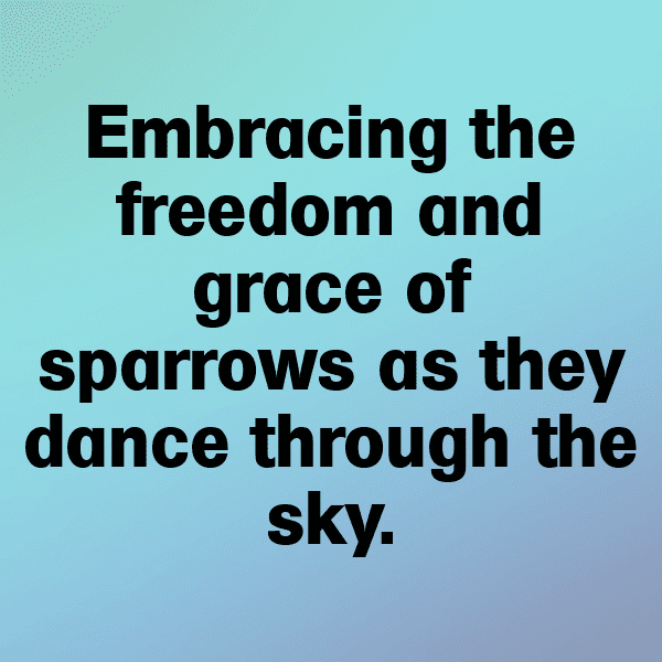 295+ Sparrow Captions For Instagram (Fresh & Trendy) 17 Sparrow Captions Image For Instagram-5bZucE