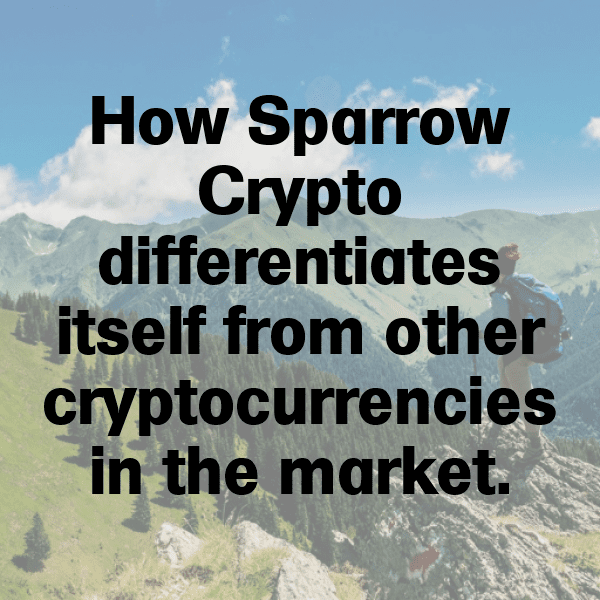 295+ Sparrow Captions For Instagram (Fresh & Trendy) 19 Sparrow Captions Image For Instagram-HHFo5j