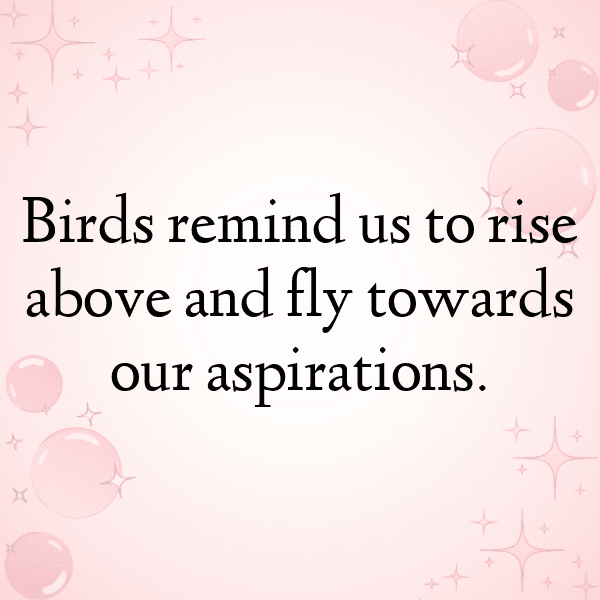 295+ Sparrow Captions For Instagram (Fresh & Trendy) 11 Sparrow Captions Image For Instagram-nKSohg