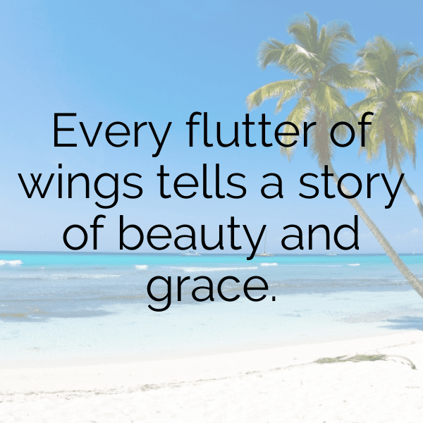 295+ Sparrow Captions For Instagram (Fresh & Trendy) 12 Sparrow Captions Photo For Instagram-CF9Qbj