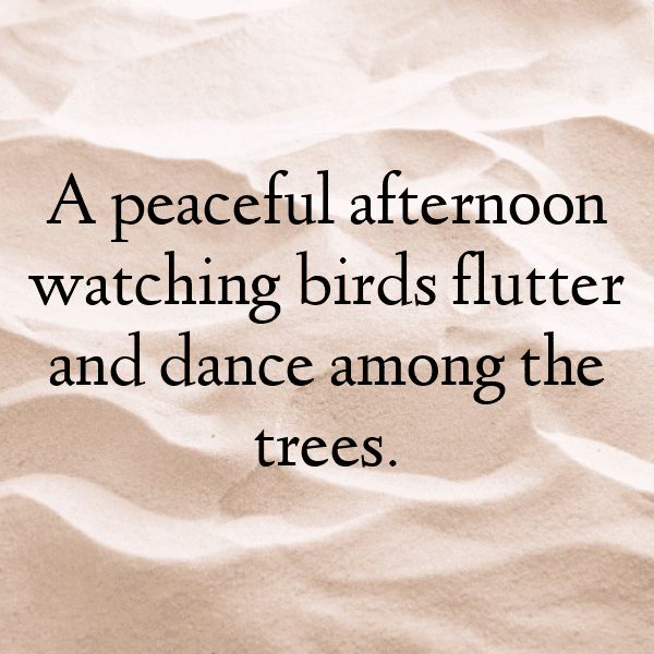 295+ Sparrow Captions For Instagram (Fresh & Trendy) 4 Sparrow Captions Photo For Instagram-EpuAzL