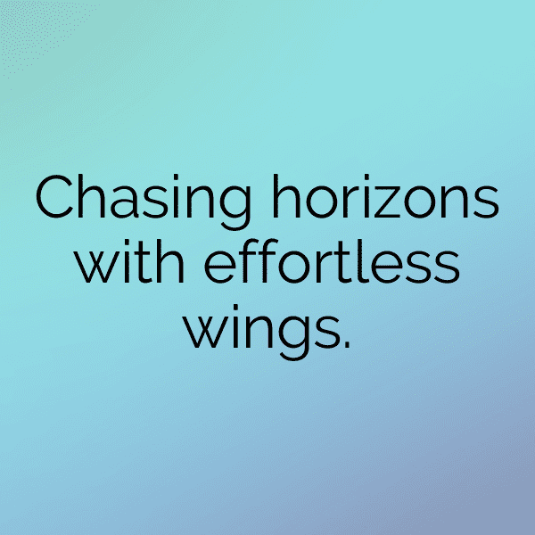 295+ Sparrow Captions For Instagram (Fresh & Trendy) 15 Sparrow Captions Photo For Instagram-lmey9z