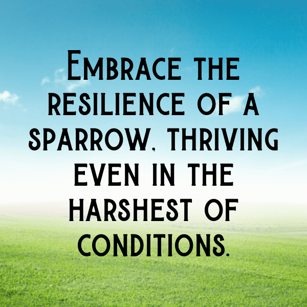 295+ Sparrow Captions For Instagram (Fresh & Trendy) 20 Sparrow Captions Photo For Instagram-mJByNa