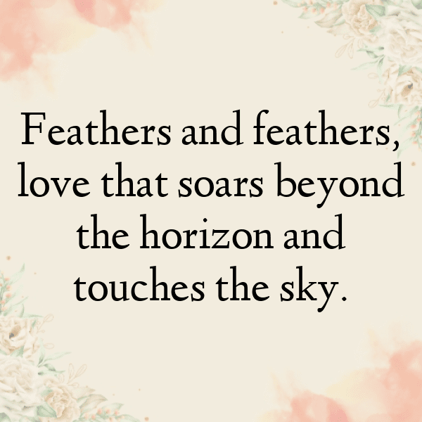 295+ Sparrow Captions For Instagram (Fresh & Trendy) 3 Sparrow Captions Photo For Instagram-MoYyYq