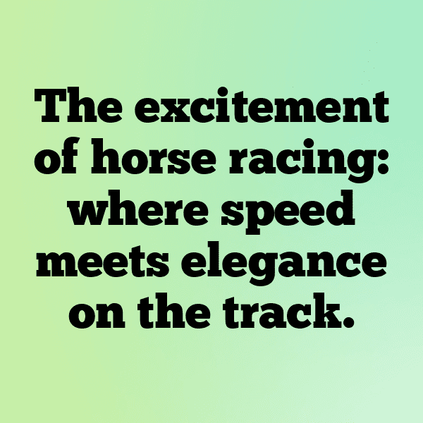 229+ Speedway Captions for Instagram (Fresh & Trendy) 6 Speedway Captions Photo for Instagram-nZ9y3Y