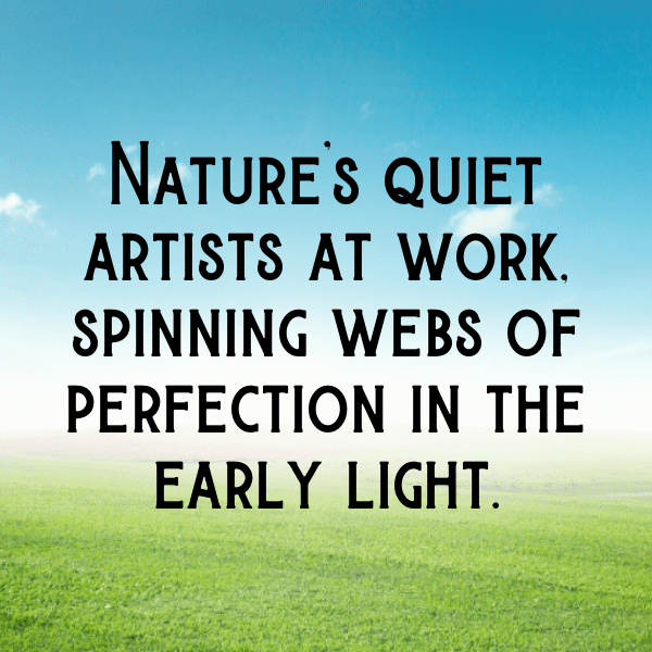 227+ Spider Captions For Instagram (Fresh & Trendy) 19 Spider Captions Image For Instagram-agOKY7