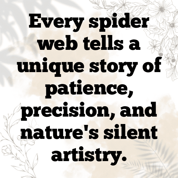 227+ Spider Captions For Instagram (Fresh & Trendy) 10 Spider Captions Image For Instagram-CRQZr6