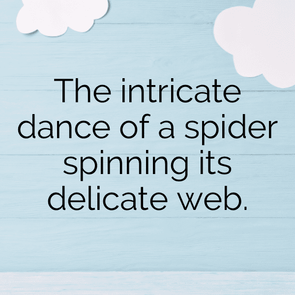 227+ Spider Captions For Instagram (Fresh & Trendy) 6 Spider Captions Image For Instagram-nGrWA0