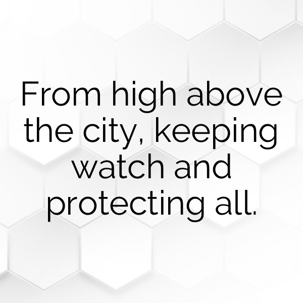 227+ Spider Captions For Instagram (Fresh & Trendy) 18 Spider Captions Image For Instagram-VEb4IK