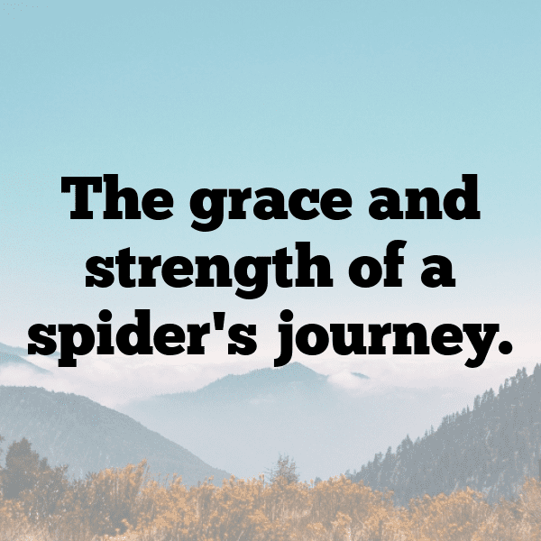 227+ Spider Captions For Instagram (Fresh & Trendy) 13 Spider Captions Image For Instagram-zLlgYF