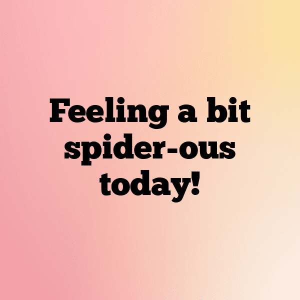 227+ Spider Captions For Instagram (Fresh & Trendy) 17 Spider Captions Photo For Instagram-DuuLt9