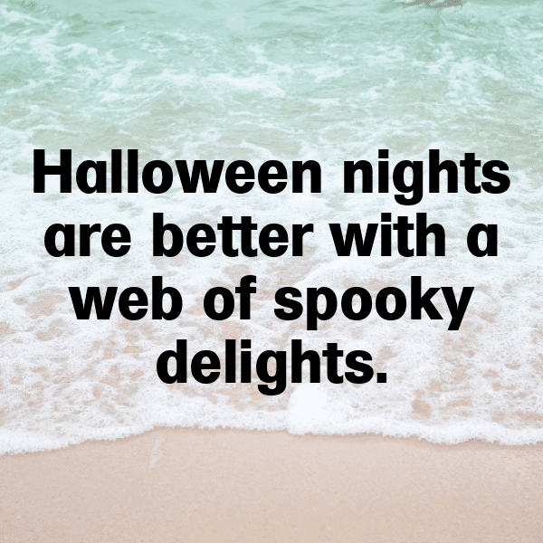 227+ Spider Captions For Instagram (Fresh & Trendy) 5 Spider Captions Photo For Instagram-ENI5sO