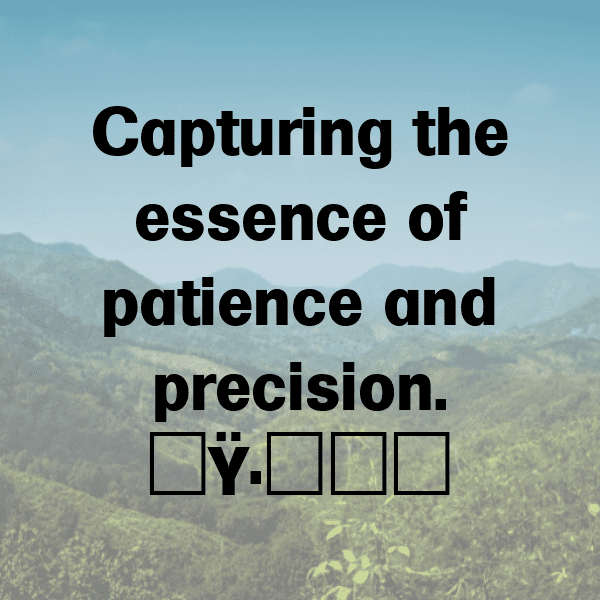 227+ Spider Captions For Instagram (Fresh & Trendy) 12 Spider Captions Photo For Instagram-sV0sgA