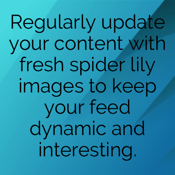 330+ Spider Lily Captions For Instagram In 2025 7 Spider Lily Captions Image For Instagram-Xgmkou