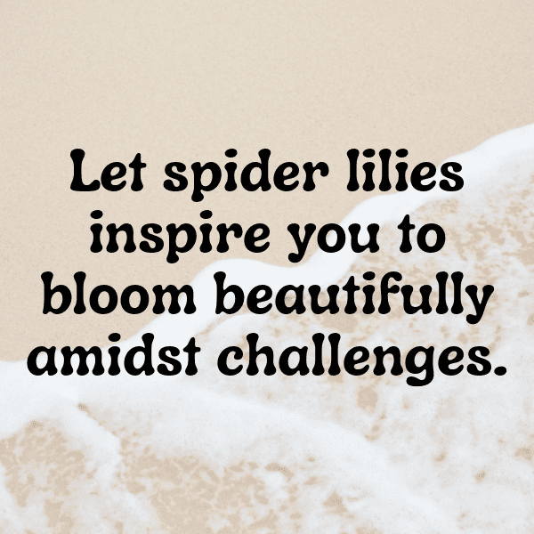 330+ Spider Lily Captions For Instagram In 2025 5 Spider Lily Captions Photo For Instagram-vHwkcJ