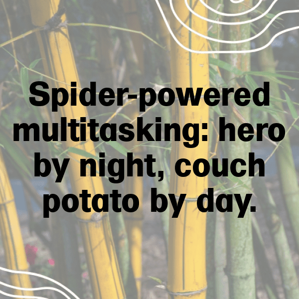 277+ Spiderman Captions for Instagram (Fresh & Trendy) 11 Spiderman Captions Image for Instagram-jCYwH8