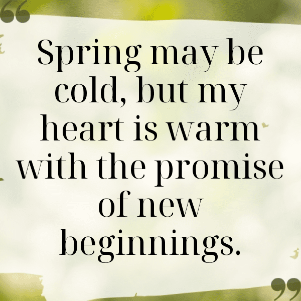 278+ Spring Blossom Captions for Instagram (Short, Trending & Viral) 3 Spring Blossom Captions Image for Instagram-NHtM80