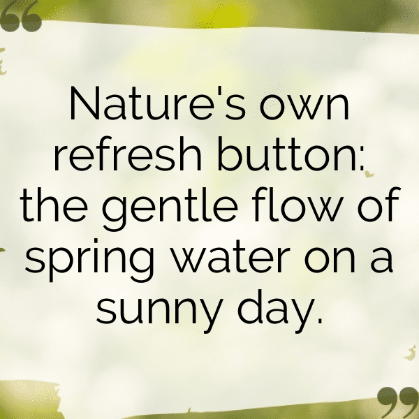 278+ Spring Blossom Captions for Instagram (Short, Trending & Viral) 10 Spring Blossom Captions Image for Instagram-pdS4ld