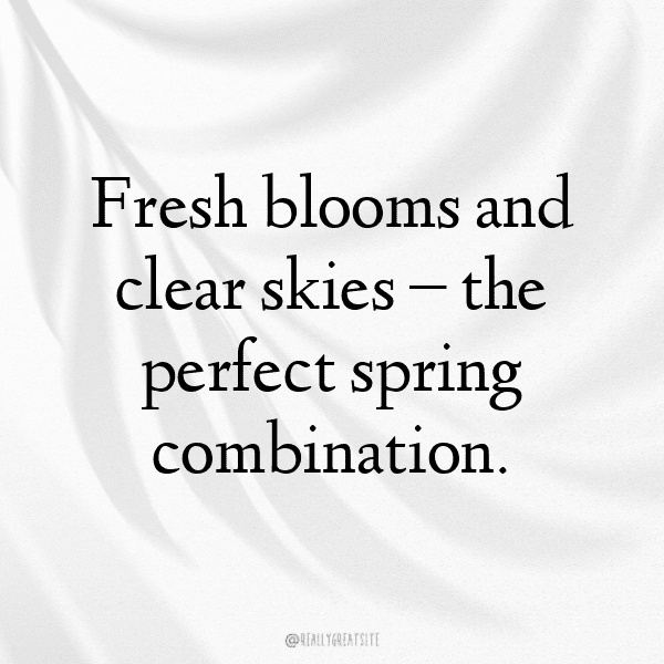 278+ Spring Blossom Captions for Instagram (Short, Trending & Viral) 4 Spring Blossom Captions Image for Instagram-su7dlt