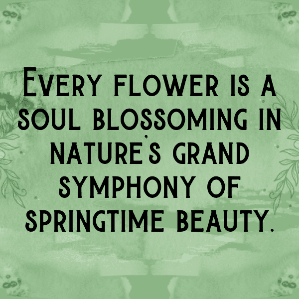 278+ Spring Blossom Captions for Instagram (Short, Trending & Viral) 17 Spring Blossom Captions Photo for Instagram-CjEiHW