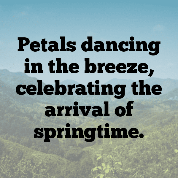 278+ Spring Blossom Captions for Instagram (Short, Trending & Viral) 5 Spring Blossom Captions Photo for Instagram-k3AY4S