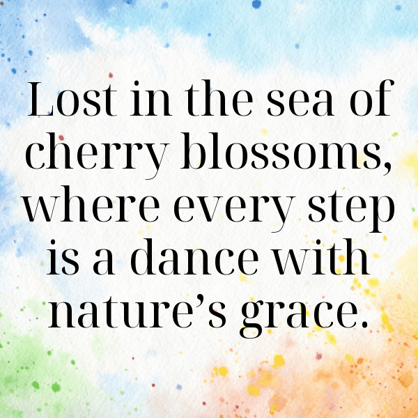 278+ Spring Blossom Captions for Instagram (Short, Trending & Viral) 16 Spring Blossom Captions Photo for Instagram-uqTB7m