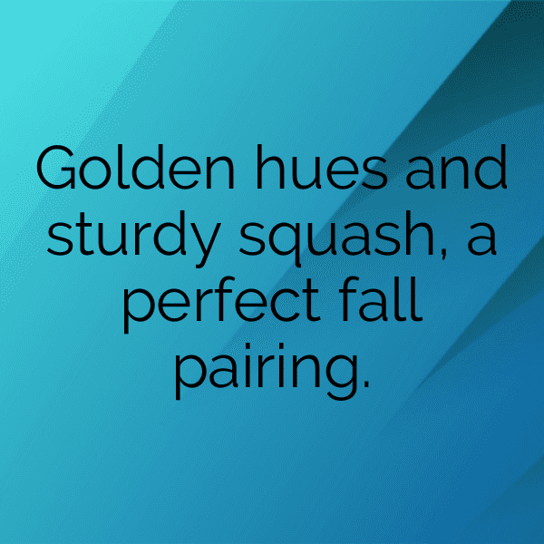 Squash Captions Image For Instagram-rHokLi