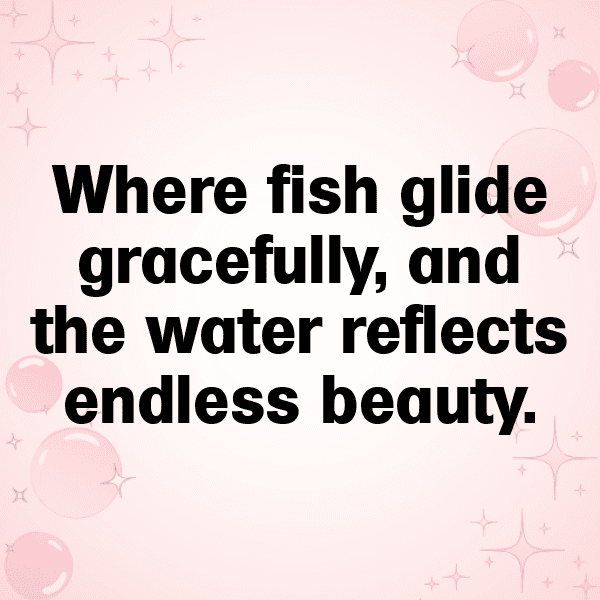 300+ Squid Captions For Instagram (Short, Trending & Viral) 10 Squid Captions Image For Instagram-tCCMmF