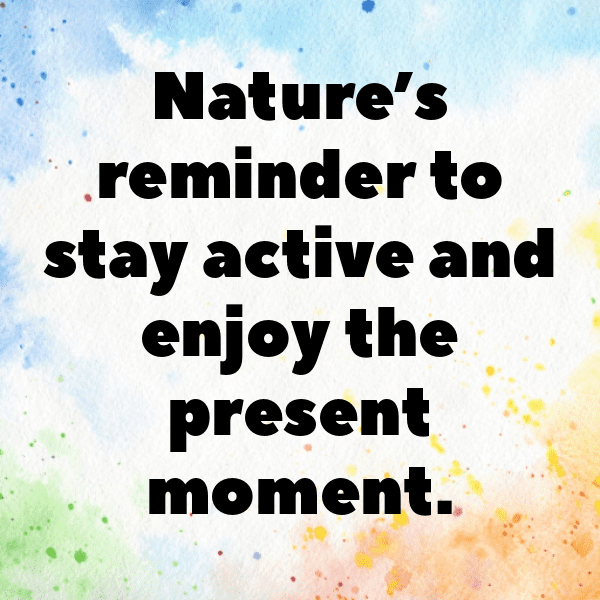 Squirrel Captions Image For Instagram-mibWJG