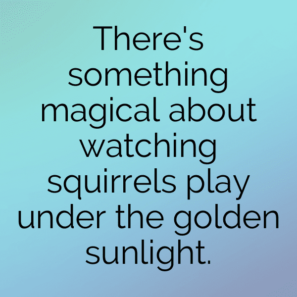 Squirrel Captions Image For Instagram-Thxdz4