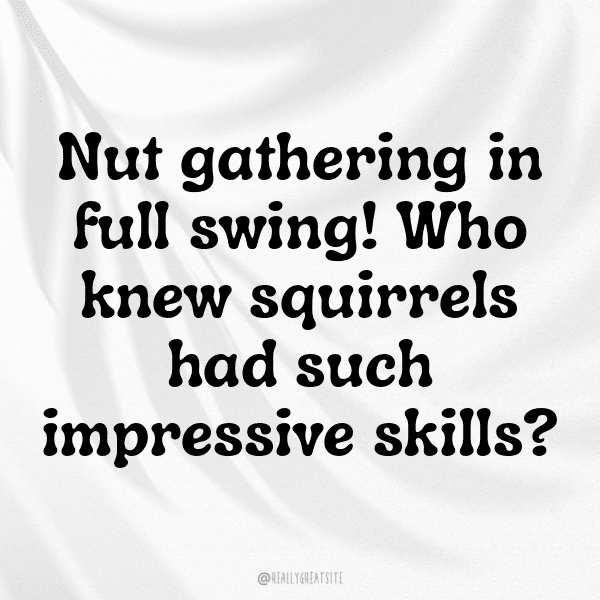 Squirrel Captions Photo For Instagram-Acj0La