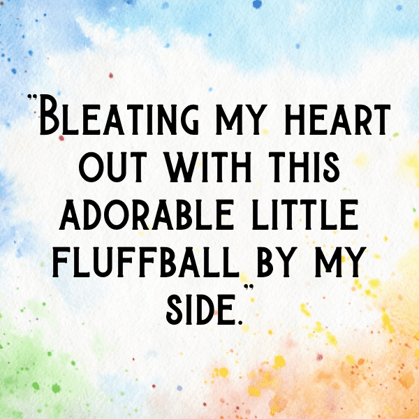 Squirrel Captions Photo For Instagram-CO53Ji