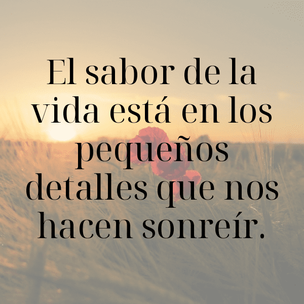 257+ Sri Lanka Captions For Instagram (Fresh & Trendy) 12 Sri Lanka Captions Image For Instagram-23wA5u