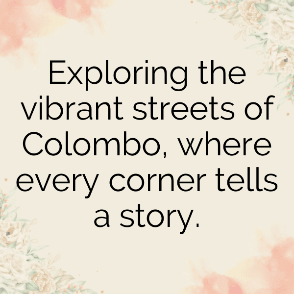 257+ Sri Lanka Captions For Instagram (Fresh & Trendy) 8 Sri Lanka Captions Image For Instagram-glztcc