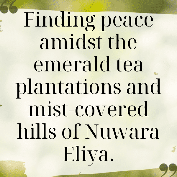 257+ Sri Lanka Captions For Instagram (Fresh & Trendy) 3 Sri Lanka Captions Image For Instagram-MqezLK