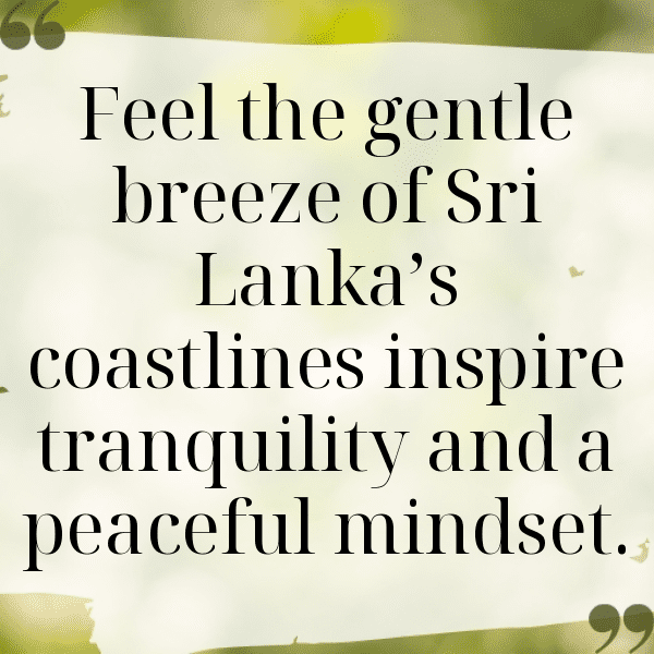 257+ Sri Lanka Captions For Instagram (Fresh & Trendy) 17 Sri Lanka Captions Image For Instagram-NorPP4