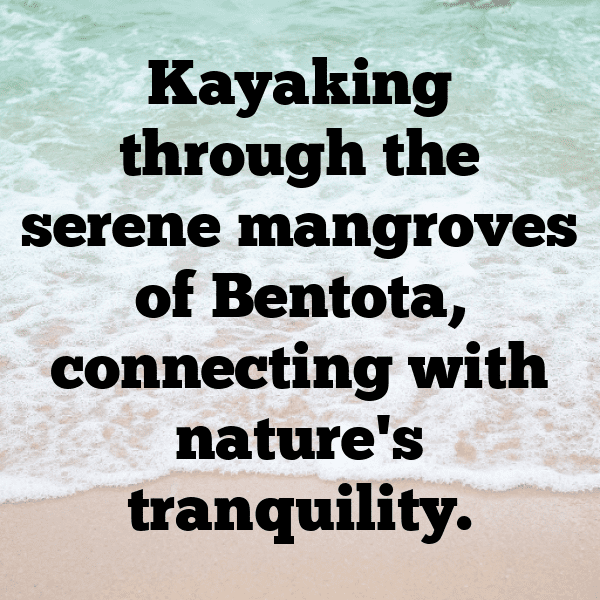 257+ Sri Lanka Captions For Instagram (Fresh & Trendy) 16 Sri Lanka Captions Photo For Instagram-EHvXai