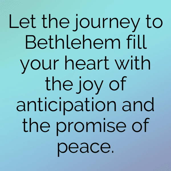 308+ Star of Bethlehem Captions For Instagram (Trending, Funny & Top) 3 Star of Bethlehem Captions Image For Instagram-xunOud