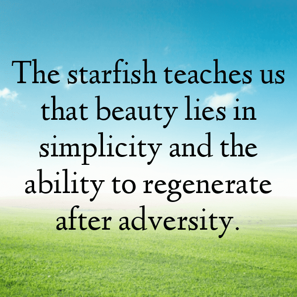 199+ Starfish Captions For Instagram (Fresh & Trendy) 9 Starfish Captions Image For Instagram-Jq9abs