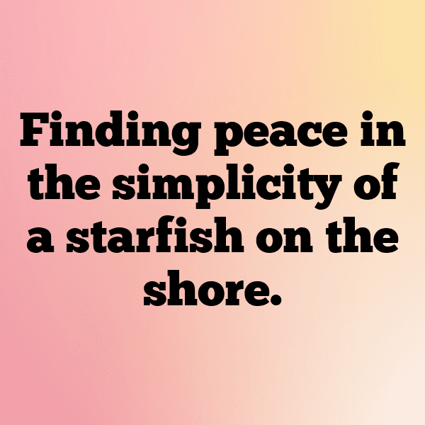 199+ Starfish Captions For Instagram (Fresh & Trendy) 18 Starfish Captions Image For Instagram-nyqefV