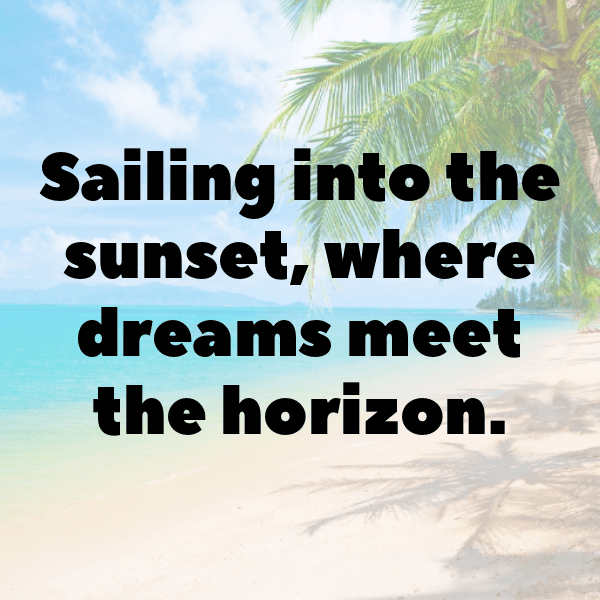 199+ Starfish Captions For Instagram (Fresh & Trendy) 14 Starfish Captions Image For Instagram-u7qfWs