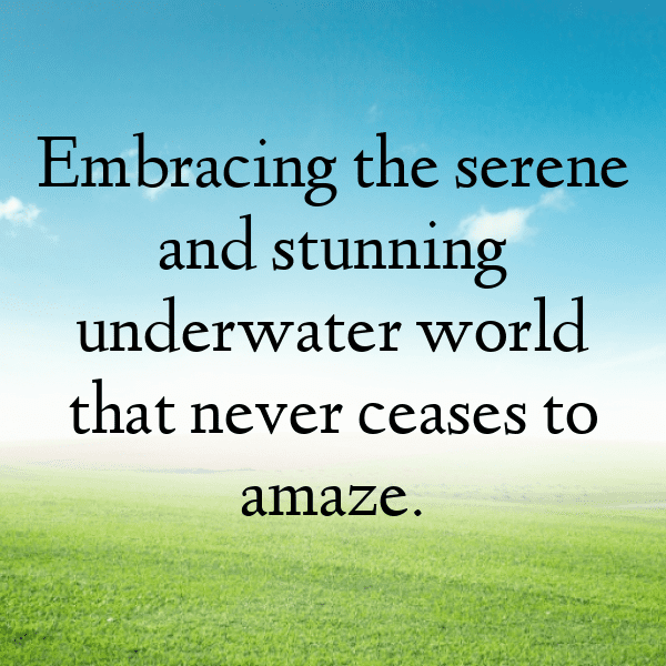 199+ Starfish Captions For Instagram (Fresh & Trendy) 13 Starfish Captions Photo For Instagram-fwkZWc